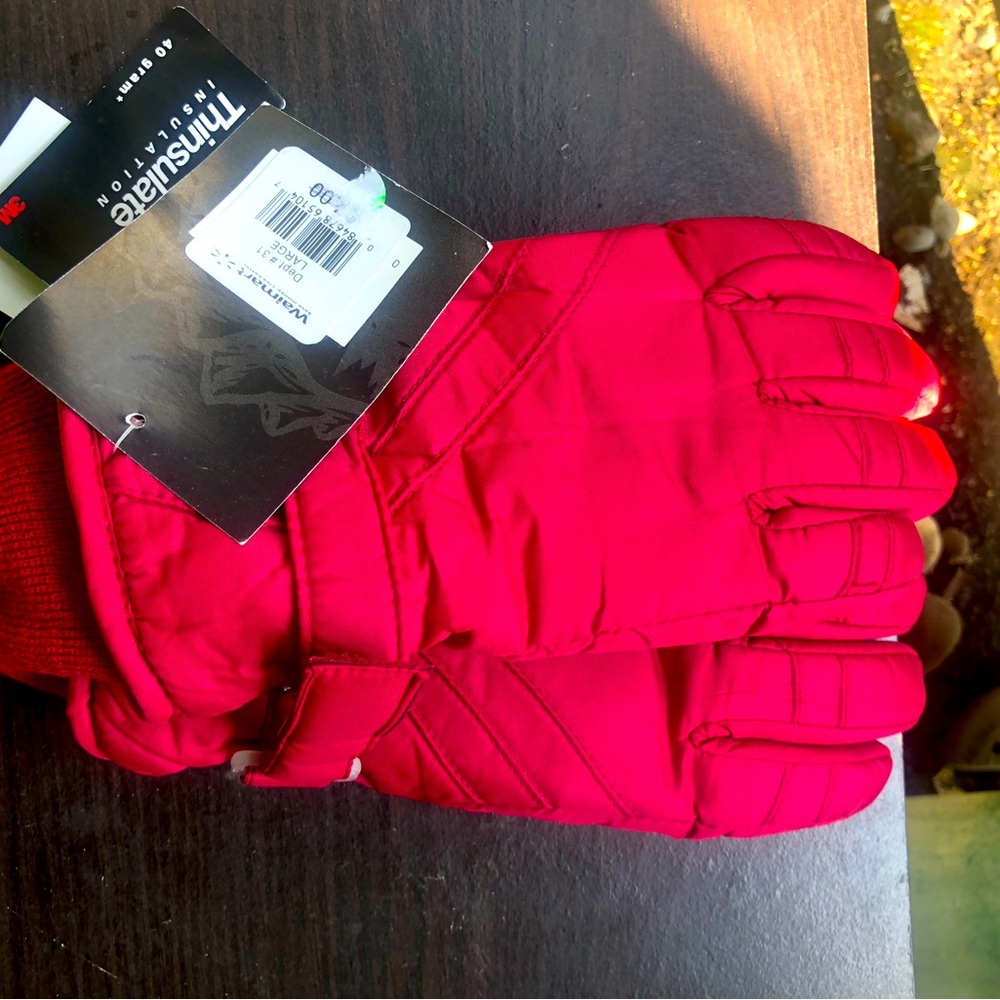 Grand Sierra 3M Water Resistant Thinsulate Insulation Purple Gloves- 40 Gram